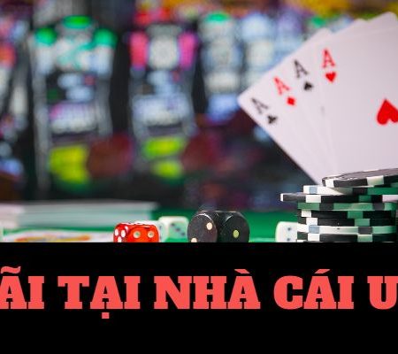KTO game 24h 2 người đánh nhau